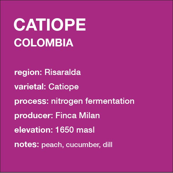 **NEW** COLOMBIA Catiope