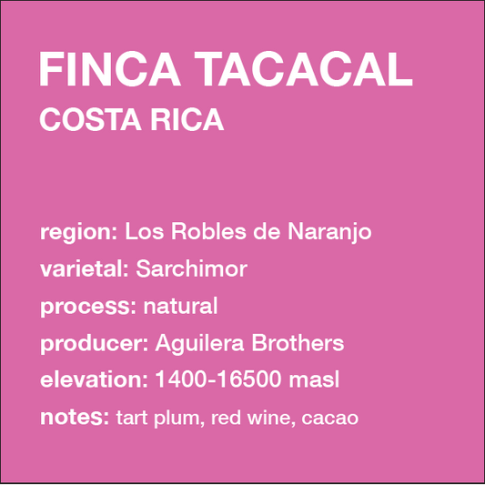 **NEW** COSTA RICA Finca Tacacal