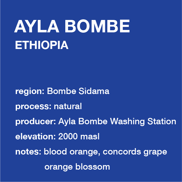 **NEW** ETHIOPIA Ayla Bombe