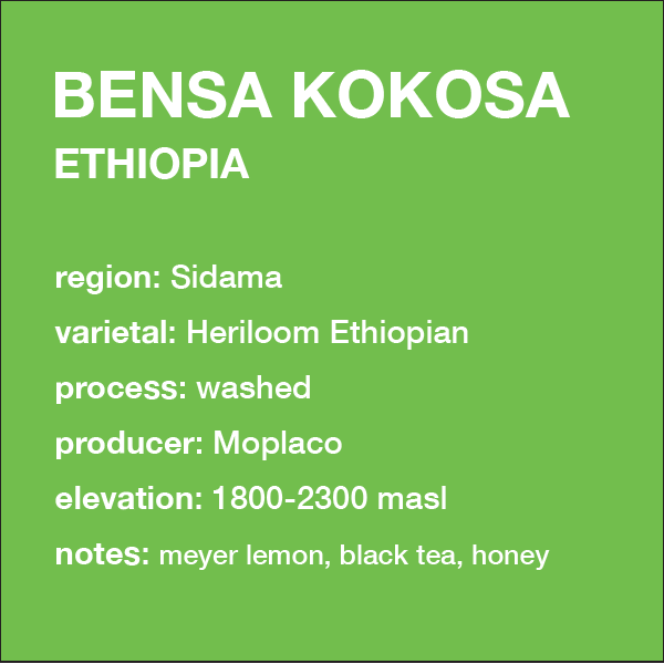 **NEW** ETHIOPIA Bensa Kokosa