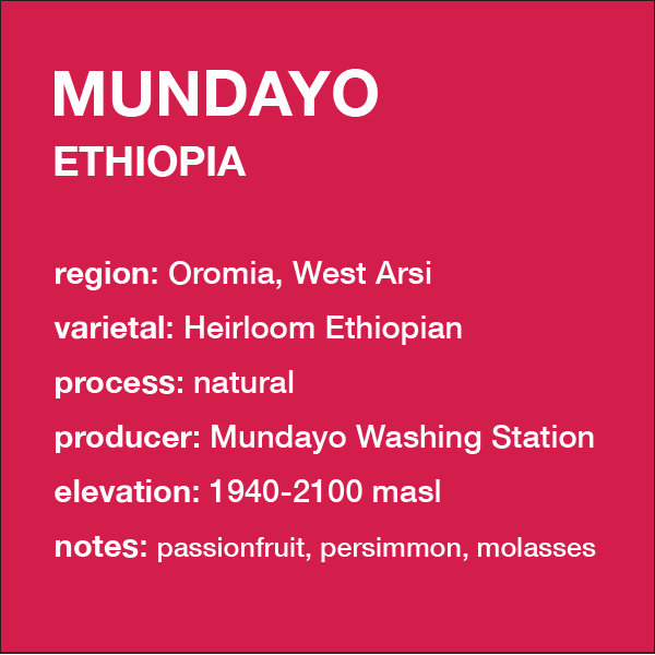 **NEW** ETHIOPIA Mundayo