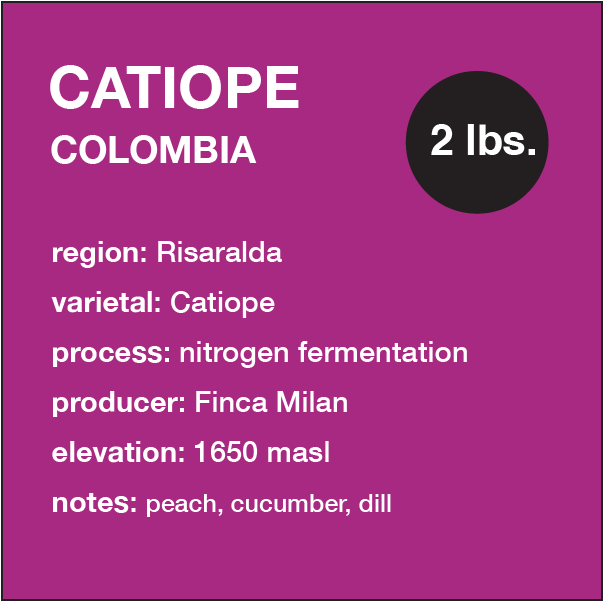 **NEW** COLOMBIA Catiope