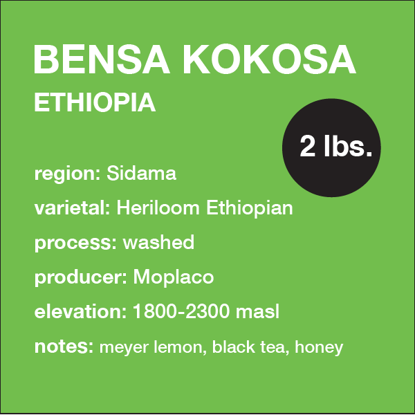 **NEW** ETHIOPIA Bensa Kokosa