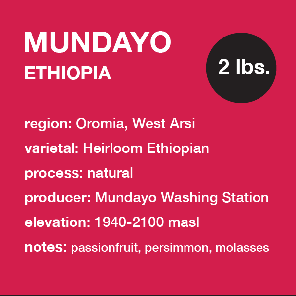 **NEW** ETHIOPIA Mundayo