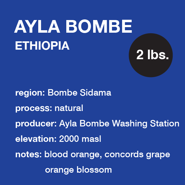 **NEW** ETHIOPIA Ayla Bombe