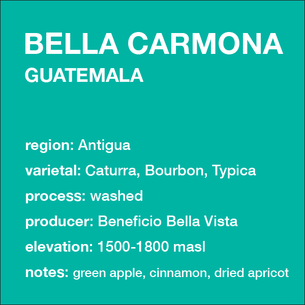 GUATEMALA Bella Carmona