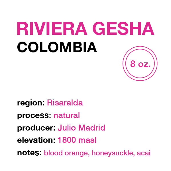 COLOMBIA Riviera Gesha // 8 oz