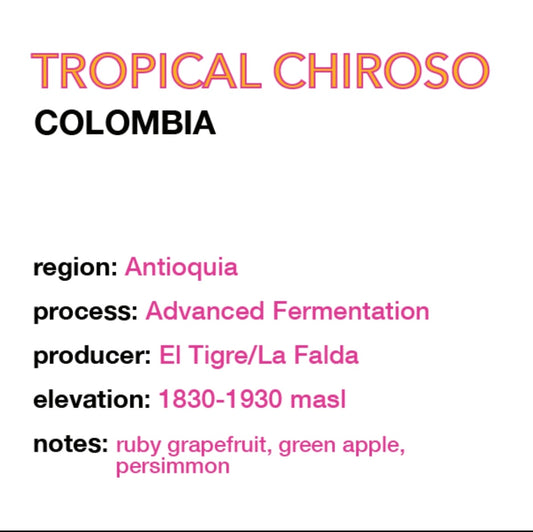 COLOMBIA Tropical Chiroso